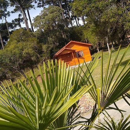 Pousada Recanto Dos Vaga-Lumes Urubici Bagian luar foto