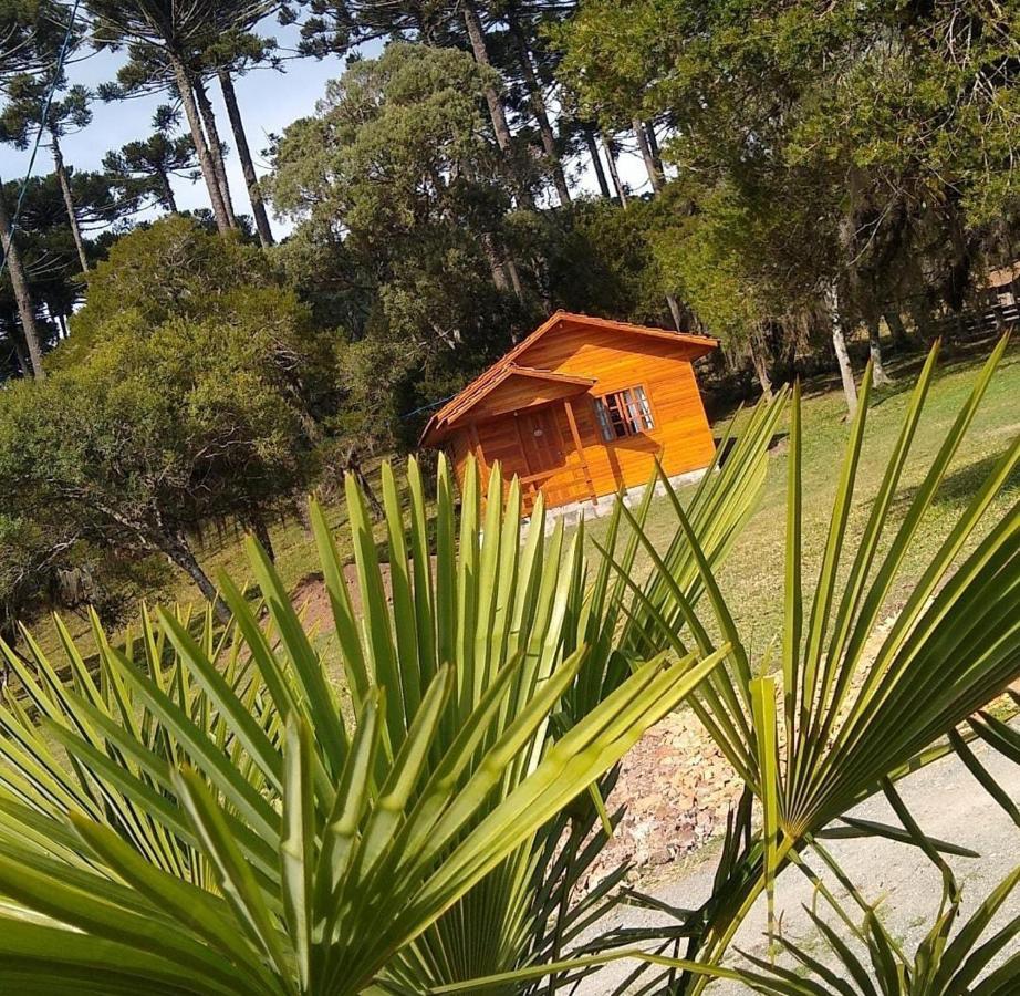 Pousada Recanto Dos Vaga-Lumes Urubici Bagian luar foto